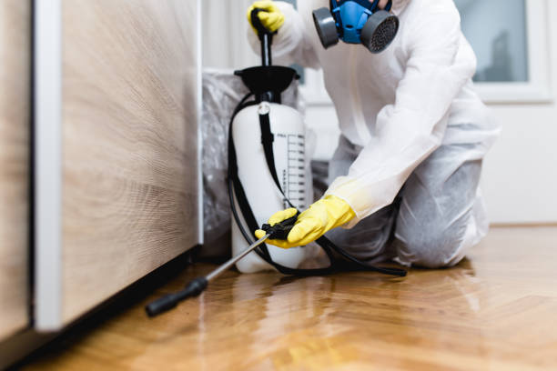Best Termite Control Services  in Washington, IA