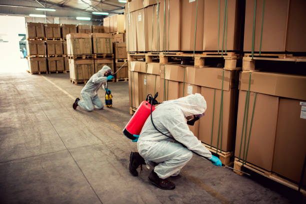 Best Pest Removal Services  in Washington, IA