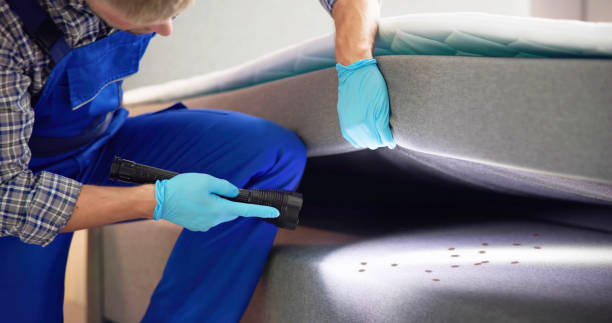 Best Local Pest Control Services  in Washington, IA