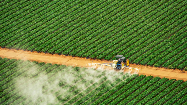 Best Ant Control Services  in Washington, IA