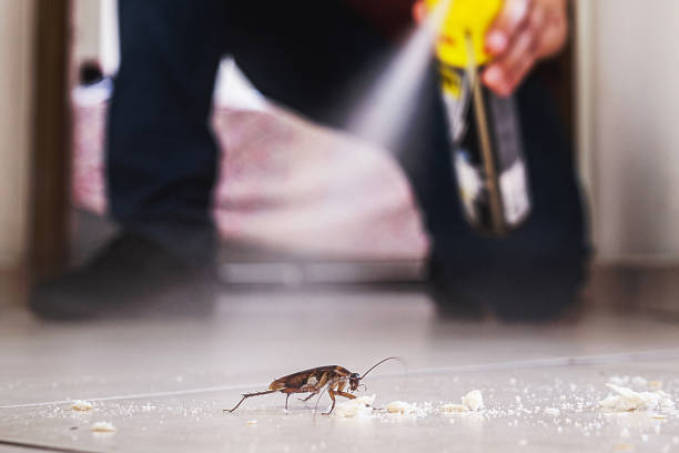 Best Best Pest Control Companies  in Washington, IA