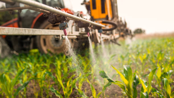 Best Pest Prevention Services  in Washington, IA