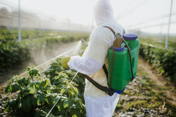 Professional Pest Control in Washington, IA